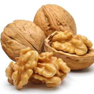 Wholesale Naturals Walnut Halves &amp; Pieces 1 lb, 100% XinJiang Unsalted Walnuts for Baking from china suppliers