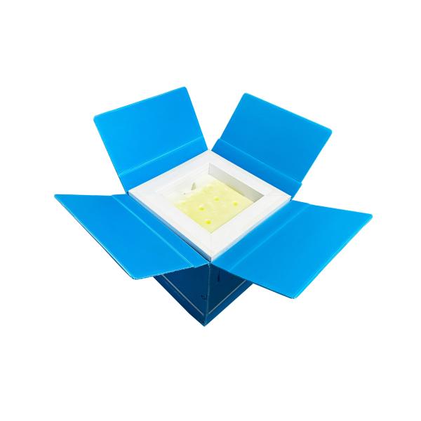 56Liters Insulation Thickness Cold Storage Box With 72hrs Insulation Performance Long Cold Time Box