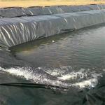 500 micron HDPE Geomembrane Shrimp Pond Liner for Durable Shrimp Farming in