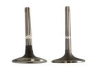Cater3306 Intake Valve Exhaust Valve