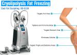 Cryolipolysis Fat Freeze Slimming Machine With 4 Handles For Beauty Salon Or