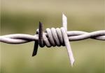 Durable Single Twisted Concertina Barbed Wire Protection Against Corrosion And