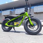 36V350W Electric Off-Road Dirt Bike for Kids Customizable Lithium Battery and