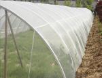 30-150G Greenhouse Shade Net HDPE UV Protection and Insect Proof Netting for