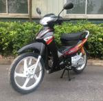 Colored Plastic 110cc CUB Motorcycle Big Wheel Dirt Motorcycle Rear Rack Bikes