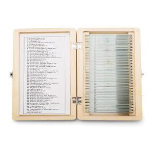 Wholesale Mixed Plant Animal ODM Microscope Biology Prepared Slides 50pcs SET from china suppliers