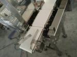 Automatic Scale Weight Checking Machine 0.5g Online