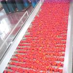 Stainless Steel Tomato Paste Processing Plant For Tomato Sauce Production