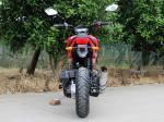 Single Cylinder Four Stroke 50cc Adult Motor Scooter CVT 60 Km/H