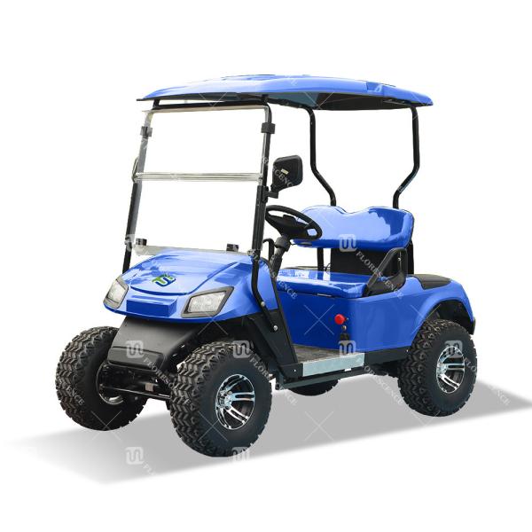 Deep Blue Color Mini 2-Seater Golf Cart With Battery And LED Headlight Exported