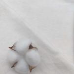 White Color 100% Cotton Plain Dyed Fabric For Sports Clothing 260gsm