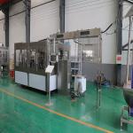 Mandarine Citrus Fruit Juice Production Line Lime Orange Industrial Lemon Juicer