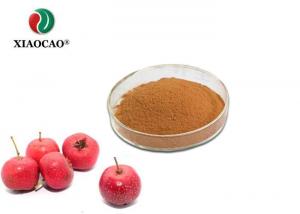 China Brown Organic Hawthorn Berry Powder Health Product Field Ncreasesexual Powers on sale