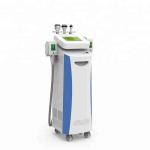CE / FDA approved fat freeze,skin rejuvenation,wrinkle removal five handles