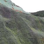PP PET Non-Woven Fabric Geobag for Slope Protection and Greening Barren Mountain