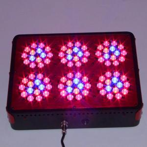 Wholesale Apollo led grow light, Apollo 6 led grow lights 200W from china suppliers