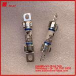 EV New Energy 10*38mm Tubular fuse EV315-M 3E 15A 500VDC Fuse Vehicle Electric