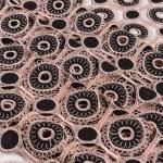 Custom Water Soluble Lace Trim Guipure Embroidery Lace Trim Fabric For Dress