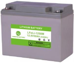 China Deep Cycle LiFePo4 Lithium Ion Solar Battery 12V 50AH Solar Panels Energy storage on sale