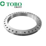 Nickel Alloy Steel Alloy 600 1'' NO6600 300lbs Welding Neck Flange ASME B16.5