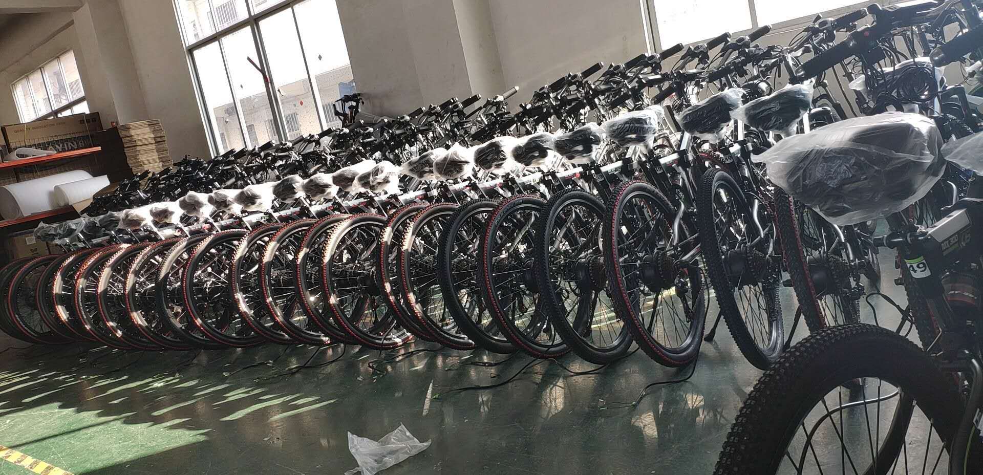 20 Inch 350W Electric Folding Fat Bike CE Certificate Waterproof In Rain
