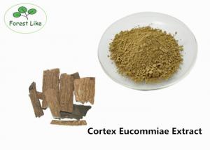 China Natural Male Enhancement Powder Cortex Eucommiae Extract 5% Chlorogenic Acid on sale