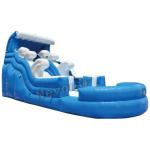 Allowable Passenger 10 Inflatable Water Slide with Pool Digital Printing