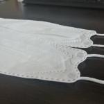 Korean 3D Fish Mask 4 Layer Super Electrostatic Filter Soft Comfortable