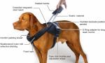 Heavy Duty Nylon Dog Harness Soft Padded With Special Extended Integrated Short