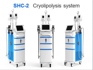 Wholesale CE approved cryolipolysis fat freezing machine/cryolipolysis machine price from china suppliers