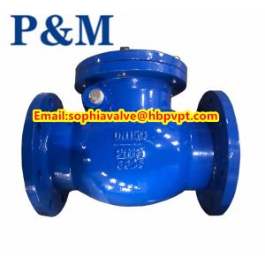 DN100 PN16 GG25 cast iron swing check valve