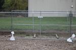 No dig temporary chain link fence tubing 1½"(38mm) 16ga/1.6mm thickness 8ft x