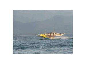 Wholesale Commercial Flying Fish Towable Inflatables With Airtight Structure from china suppliers