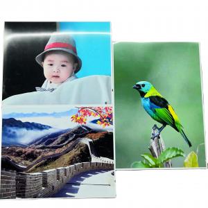 China 36X30m RC Color Photographic Paper on sale