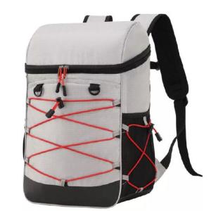 Wholesale Insulated Leakproof Lightweight 30 Can Cooler Backpack For Hiking / Camping from china suppliers