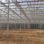 Large Agricultural Glass Greenhouse with Advanced Hydroponics System and Glass