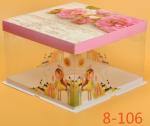 Disposable Clear/transparent Sandwich/cake Plastic Food Container/box/packaging