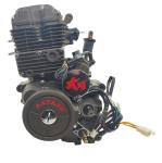 DAYANG LIFAN CG Cool 250cc Motorcycle Engine Assembly Electric Start and CCC