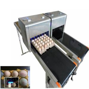 Wholesale Barcode Egg Printer / Continuous Tray Egg Food Inkjet Printer Chinese Made from china suppliers