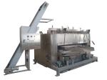 Coated Peanut Roaster Flat and Rotary Roaster Swing Roaster 100 kg/h capacity