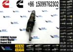 Diesel Fuel Injector 1529790 1846348 4062568 4088723 4954646 1846351 4954648
