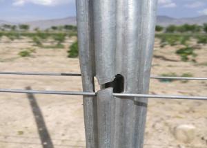 Wholesale 275g/M2 Vineyard Stakes / Metal Post Stakes Customized Length / Thickness from china suppliers