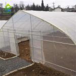 Serre Gothique 240m2 Poly Tunnel Greenhouse Economical Gothic Arch Greenhouse