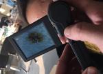 Video Dermatoscope Microscope Digital Skin Analyzer USB Skin Surface Checker