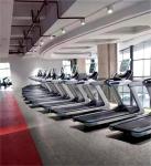 Home Gym Machine Commercial Treadmill Cardio Training Walking Running Machines