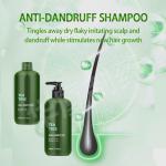 Tea Tree Aloe Vera Ginger Anti Hair Loss Shampoo Herbal Shea Butter Shampoo