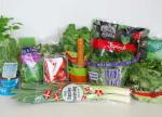 380V Salad Production Line