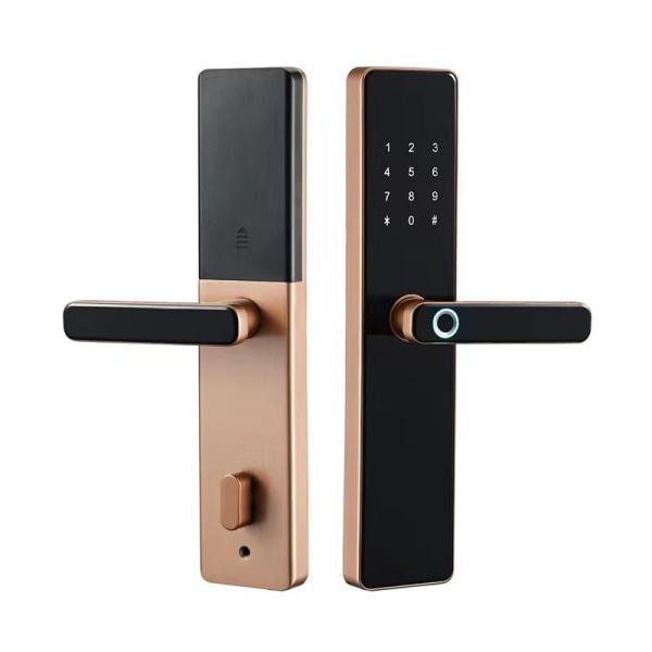 Black/Red Bronze Zinc Alloy Tempered Glass Digital Fingerprint Passcode Door