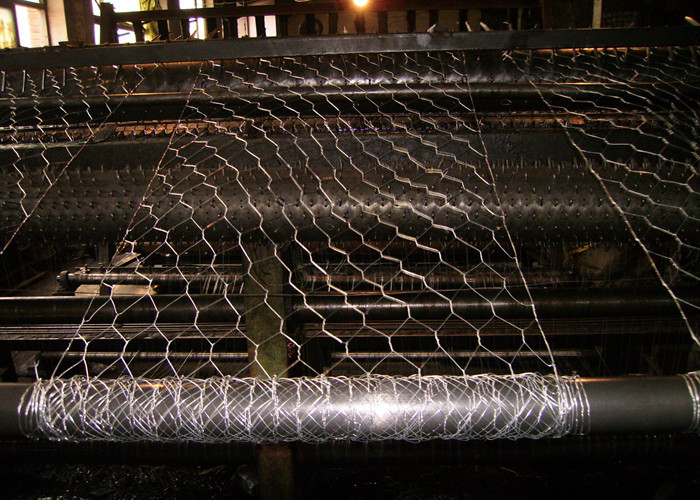 plant protection 25mm BWG24 Hexagon Metal Mesh