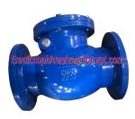 DIN standard GG25 metal seal check valve